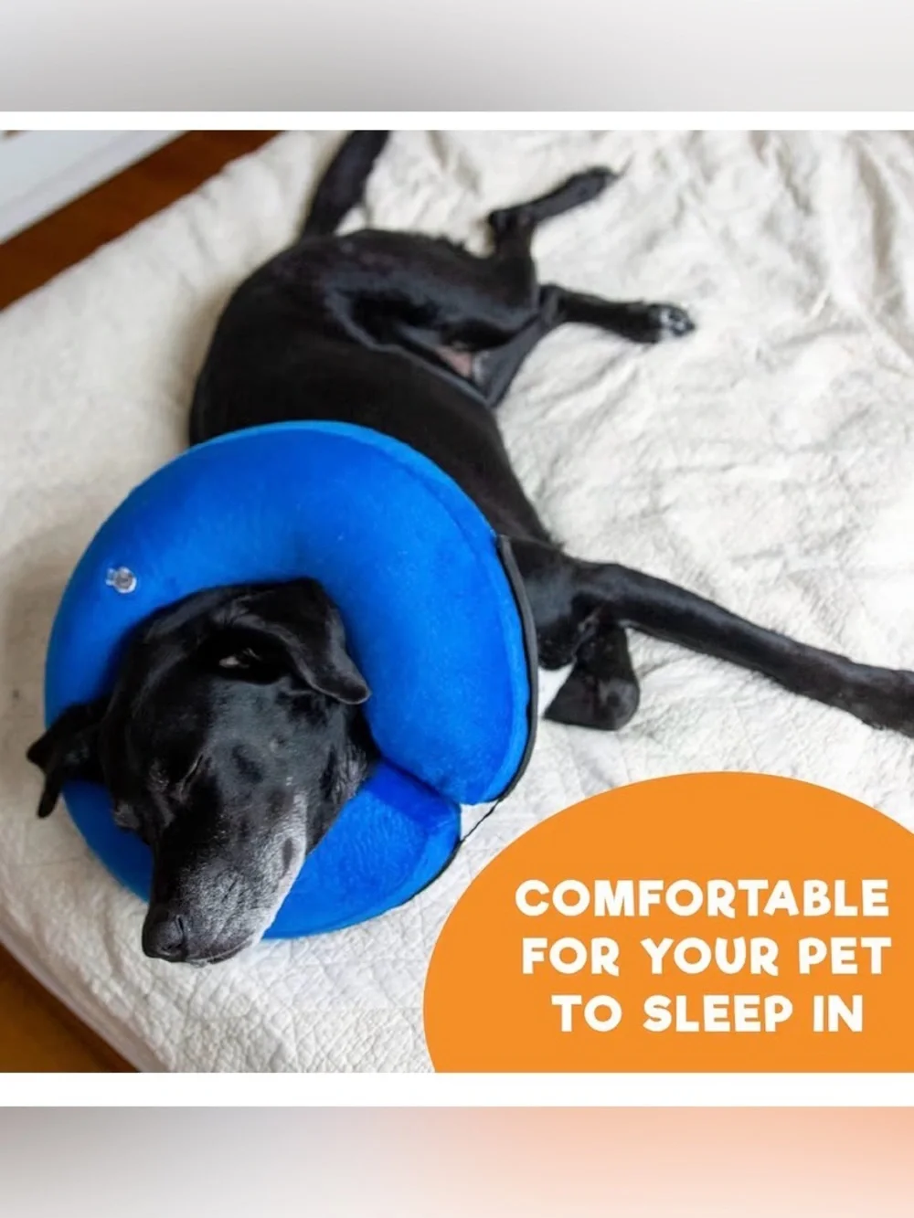 Blue Plush Donut Recovery Collar for Dogs - Comfortable Soft Support